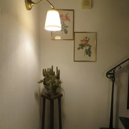 La Maison De Fille *